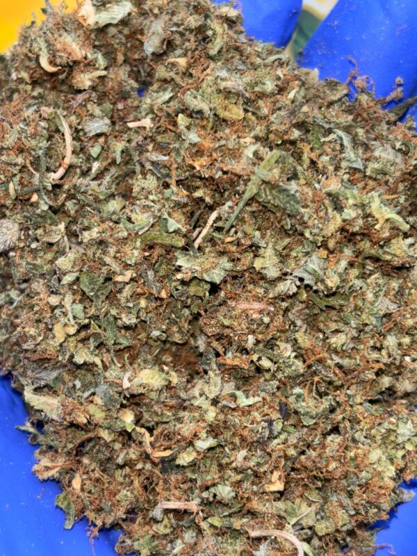 •$249 #ck0 indoor shake. good shake