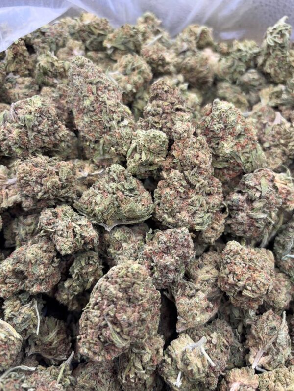 •$449 #ck737 banana punch