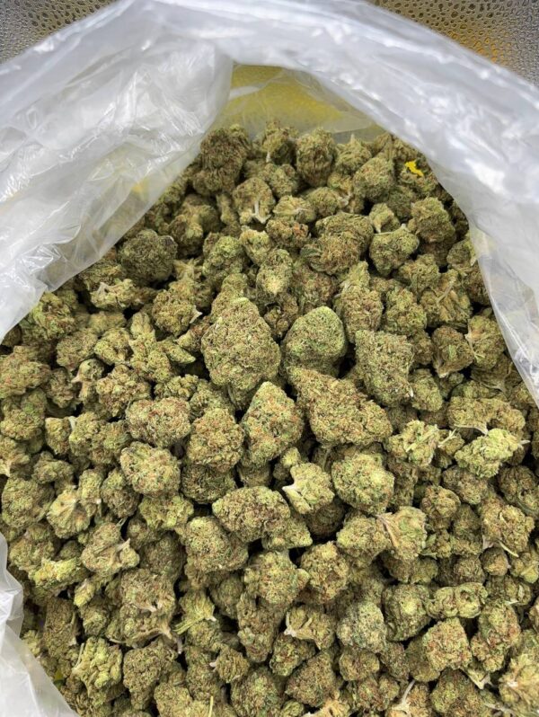 •$525 #ck739 blueberry punch