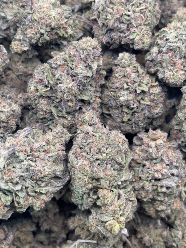 •$625 #ck717 jealousy