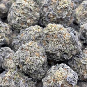 •$699 #ck488 garlic truffle