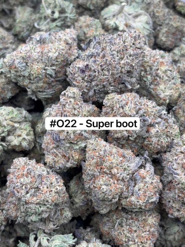 •$725 #specialo16ozmix (•$425 hp)
