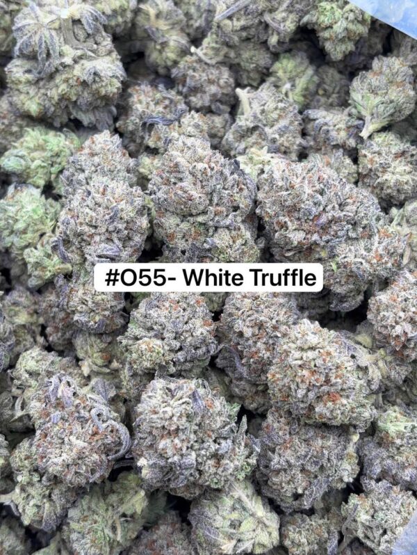 •$725 #specialo16ozmix (•$425 hp)