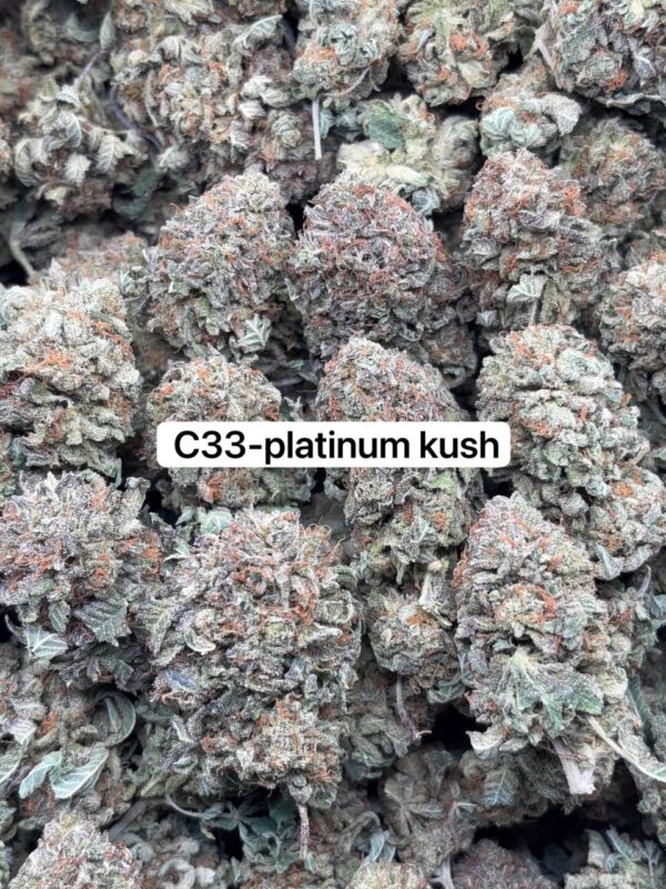 •$999 #specialc16ozmix (•$575 hp)