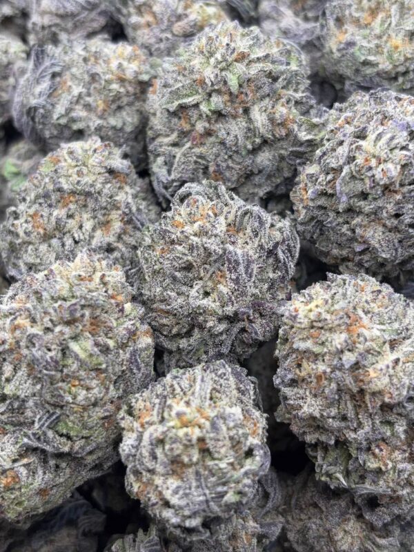 •$649 #ck290 black truffle