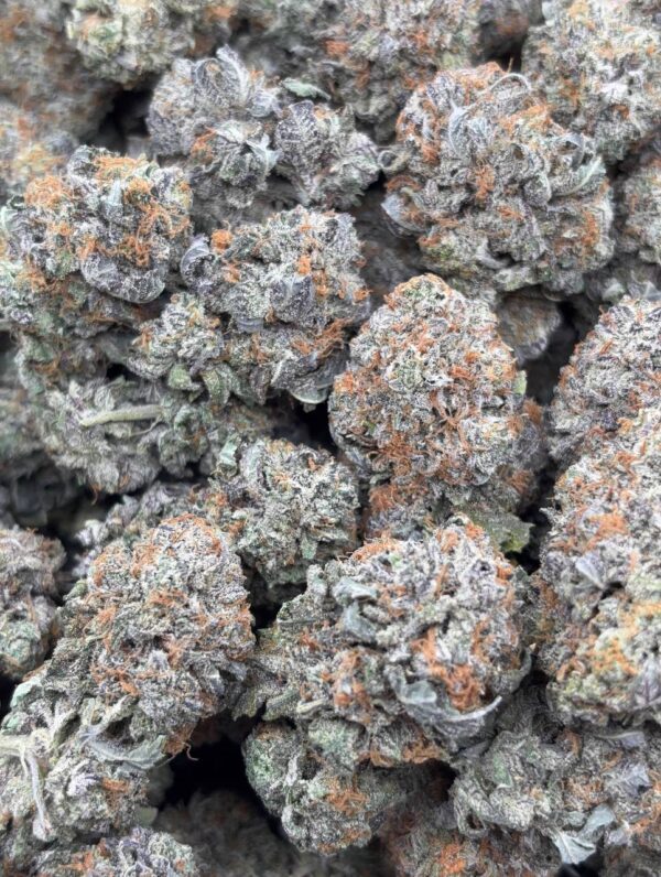 •$949 #ck755 co2 bubba