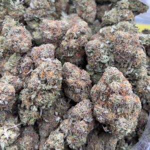 •$875 #ck825 indoor bubba
