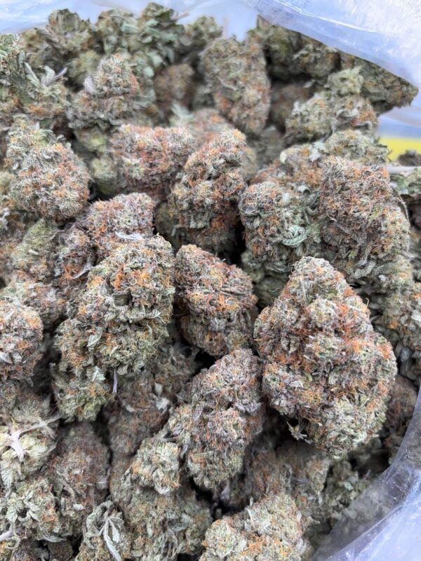 •$875 #ck825 indoor bubba