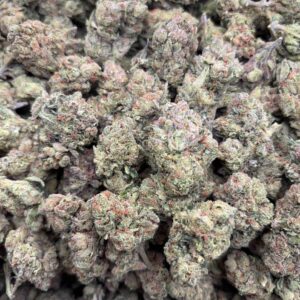 •$499 #ck831 mochi gelato