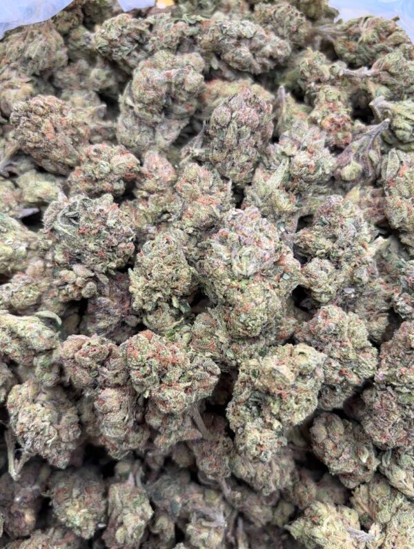 •$499 #ck831 mochi gelato