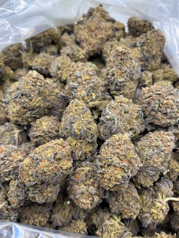 •$499 #ck837 chemistry cookie