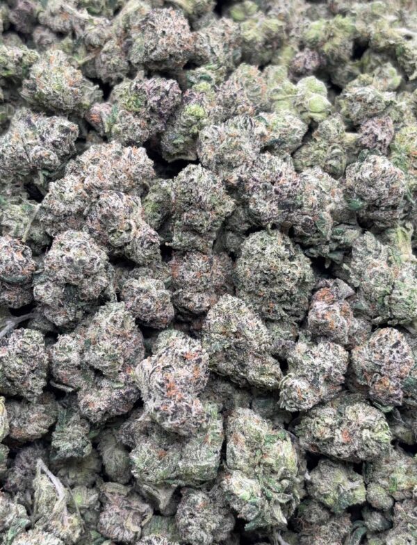 •$899 #CK745 - Candy land
