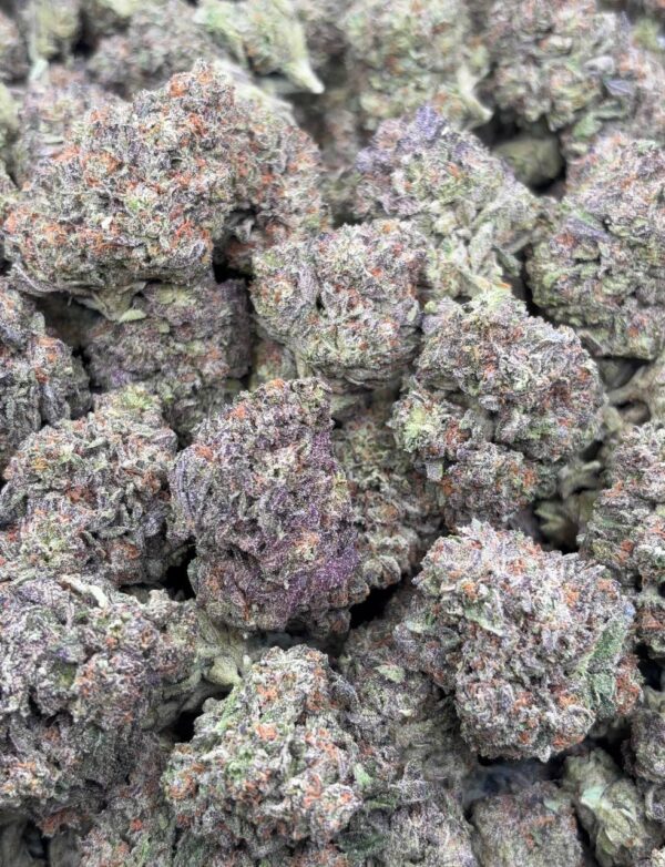 •$725 #CK861 - Icy Gelato