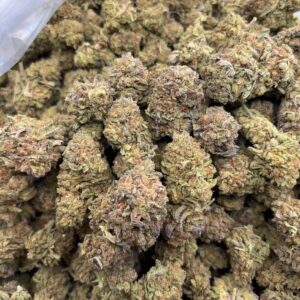 •$449 #CK863 - White Truffle