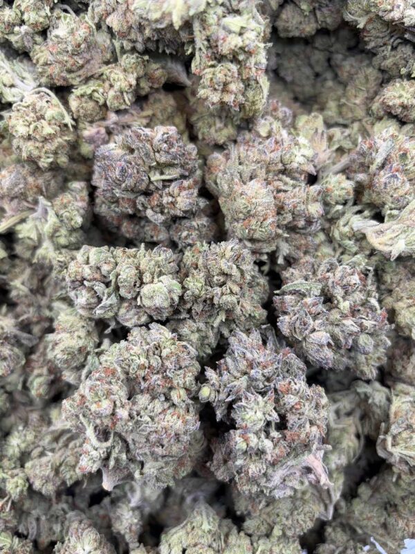 •$575 #CK961 - Frosty Truffle