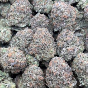 •$799/849 #CK135 - Indoor Bubba