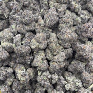 •$1399/1449 #CK143 - ADL