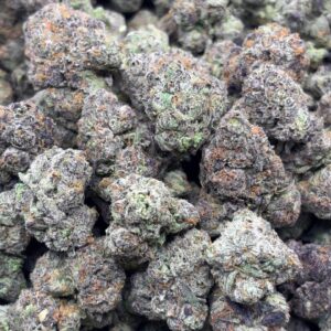 •$999/1049 #CK151 - Candy Cane