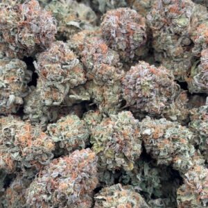 •$749/799 #CK171 - Indoor Platinum Kush( PK)