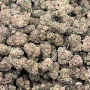 •$449 #CK219 - Gumbo mafia