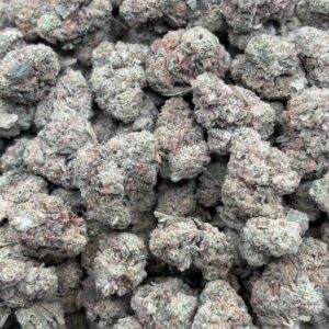 •$475/525 #CK221 - Papaya Runtz “small”