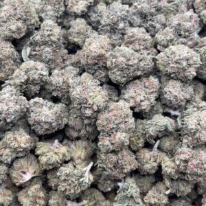 •$399/449 #CK259 - Gelato punch “small”(no additional promo)