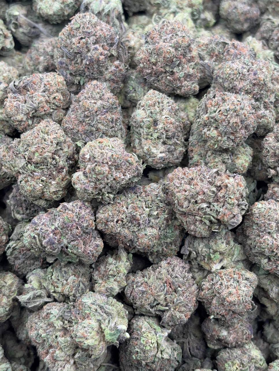 •$649/699 #CK271 - Cherry Pop