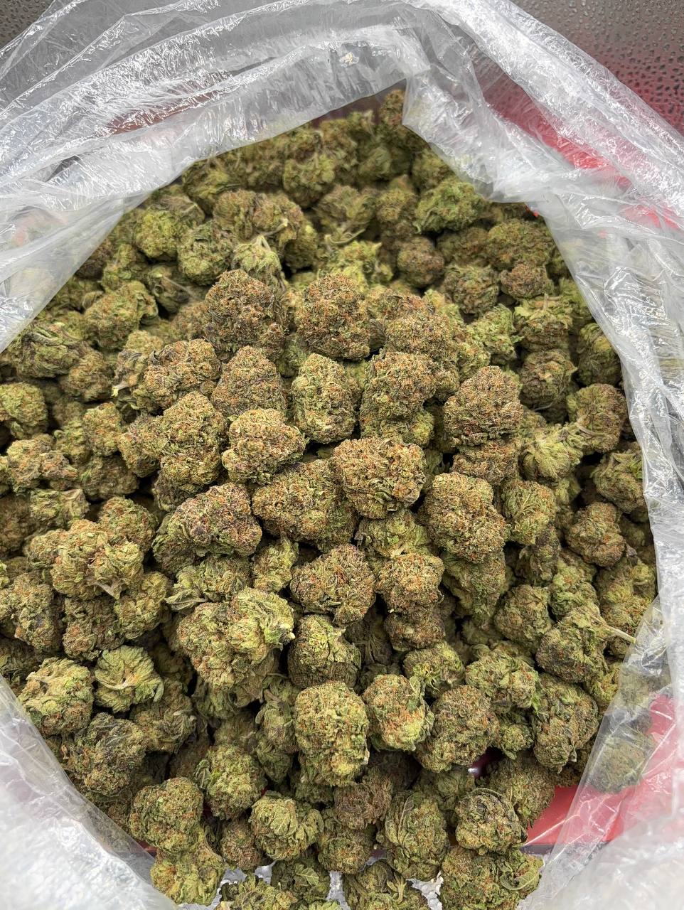 •$649/699 #CK271 - Cherry Pop - Image 2