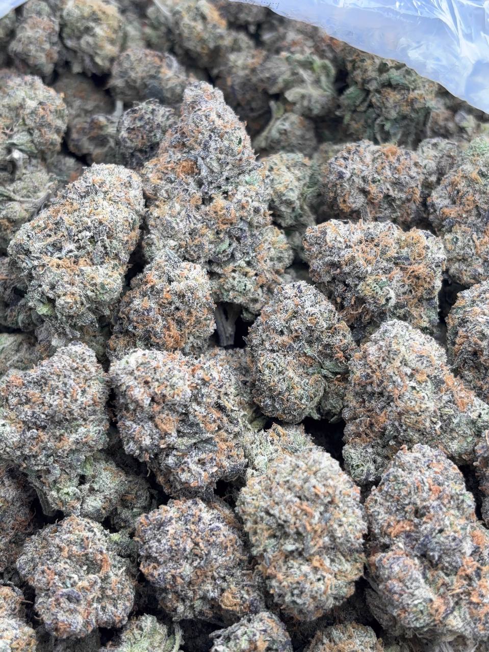 •$1075/1125 #CK202 - Candy Gelato
