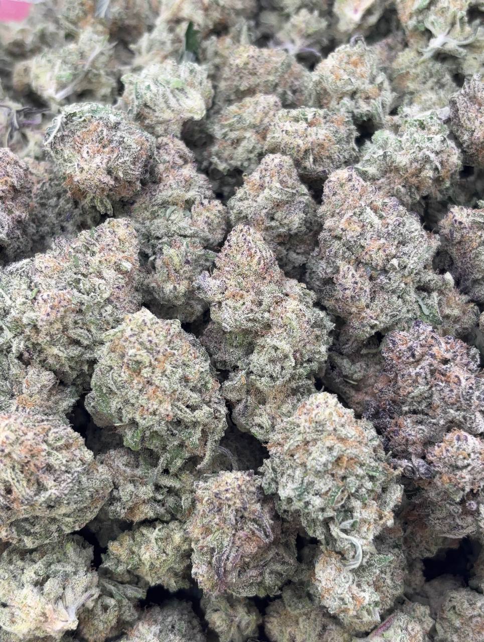 •$699/749 #CK365 - Prime Mac