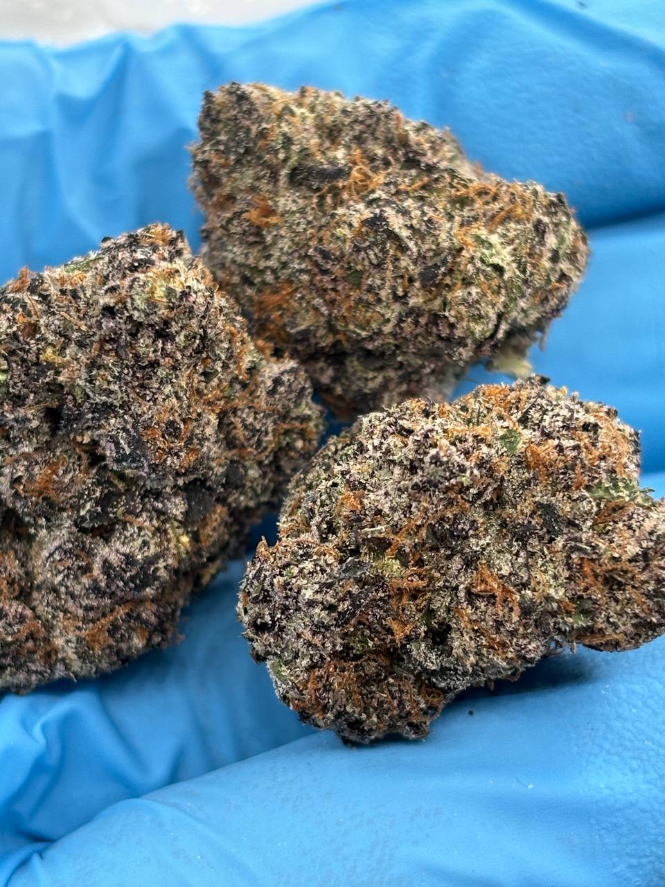 •$1245/1299 #CK334 - Prizm Candy Pop - Image 2