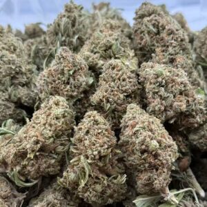 •$249/299 #CK199-Gelato: seeds - fresh (vip $199btc REG SHIP)(+$19 ADD TERP)(NO ADDITIONAL PROMO))