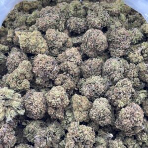 •$499/549 #CK336 - Gumbo mafia