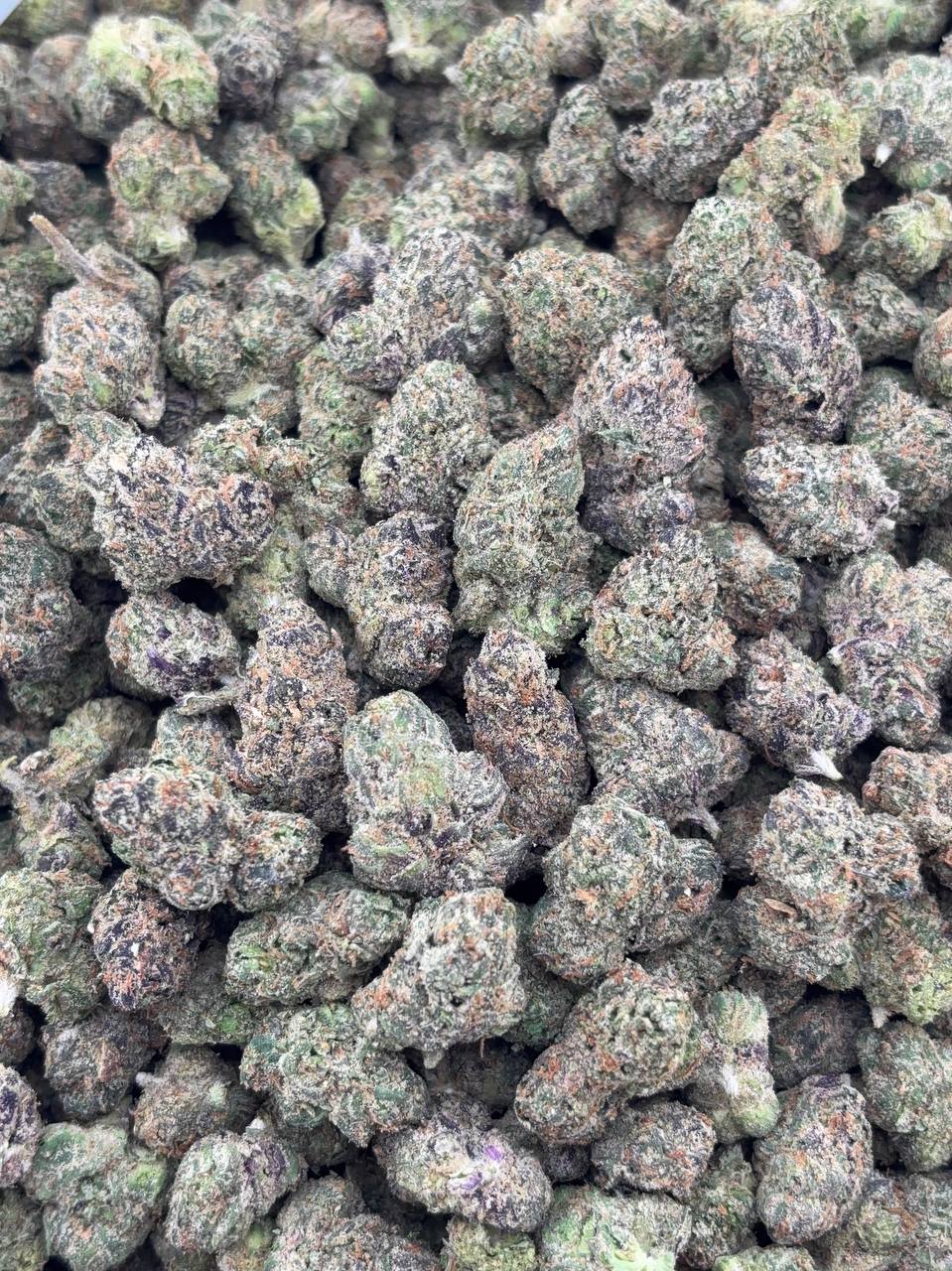 •$775/825 #CK344- Bolo Super Gelato