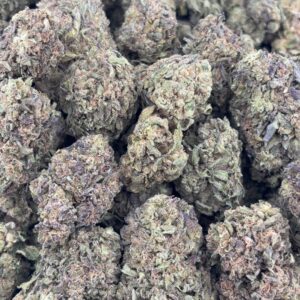 •$499/549 #CK368 - Gumbo mafia (No additional promo)