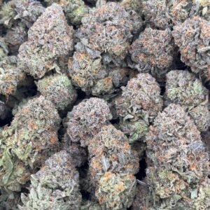 •$910/950 #GG168 - Indoor bubba