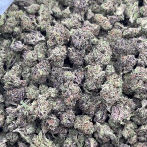 •$749/799 #GG202 - Purple Nerd