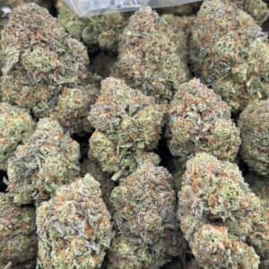 •$775/799 #GG220 - Gelato Dynasty
