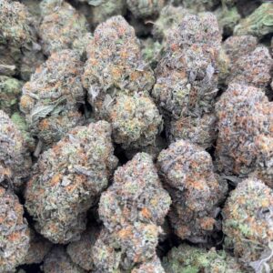 •$925/965 #GG284 - indoor bubba