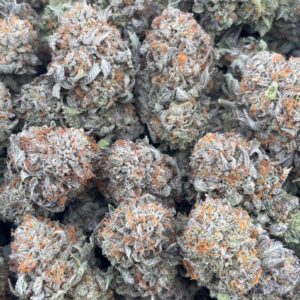 •$965/999 #GG288 - indoor bubba
