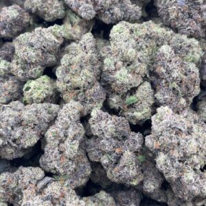 •$1249/1299 #GG316 - Sticky Gelato