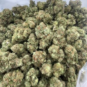 •$549/599 #GG392 - gumbo gelato