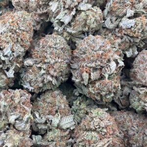 •$885/925 #GG398 - indoor bubba