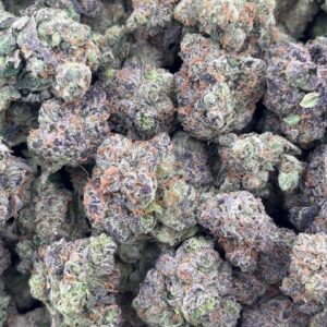 •$1025/1075 #GG422 - Gumbo