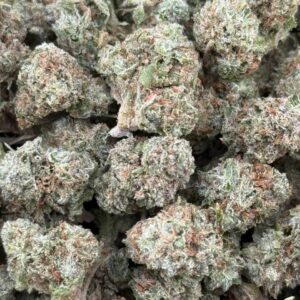 •$525/549 #GG424- Joker Candy