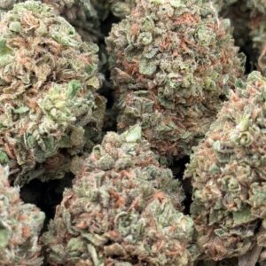•$549/575 #GG426- zuper bubble