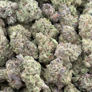 •$474/524 #GG578 - Gelato Punch