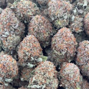 •$825/850 #GG598 - Indoor bubba