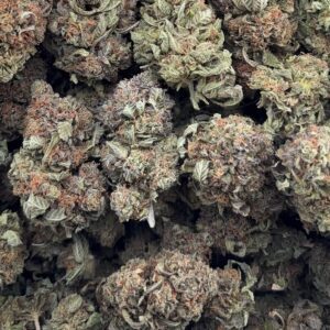 •$650/675 #GG600 - Indoor platinum (NO ADDITIONAL PROMO)
