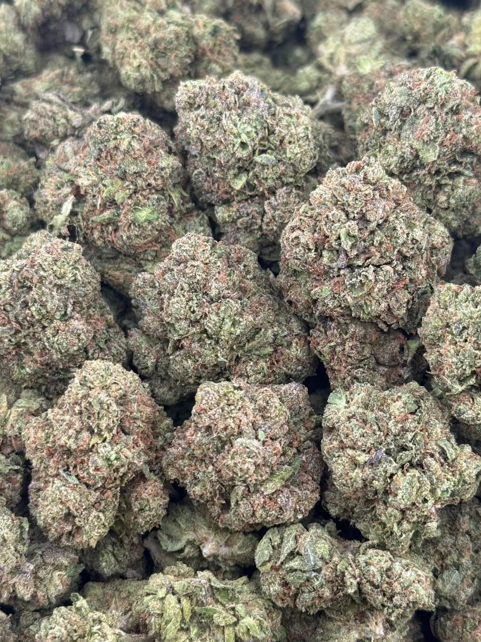 •$549/574 #GG658 - Mochi Gelato